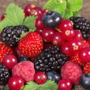 CREMA FRUTTI DI BOSCO