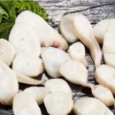 TENTACOLI TOTANO COTTI TAGLIATI CONGELATI